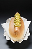 Hot dog with gherkins and mustard in paper dish