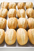 Baguette rolls on baking tray