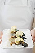 Person holding tray of king prawns on ice