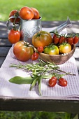 Various types of tomatoes on table out of doors