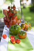 Various types of tomatoes on table out of doors