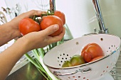 Freshly washed tomatoes in colander in sink