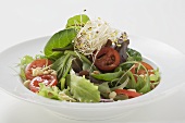 Salad leaves with sprouts, tomatoes and pine nuts