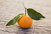 Clementine with leaves on wooden background