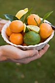 Hands holding a dish of citrus fruit