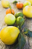 Assorted citrus fruit on wooden background