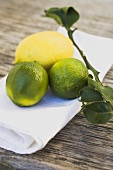 Limes and lemon on white cloth