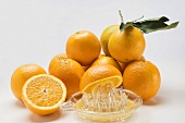 Juice oranges with citrus squeezer