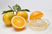 Juice oranges with citrus squeezer