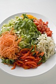 Salatteller mit Blattsalat und verschiedenem Gemüse
