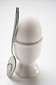 White egg in eggcup, spoon leaning against it