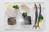 Various types of fish on a platter of ice