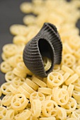 Wagon wheel pasta and black lumaconi