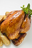 Whole roast chicken with herbs and potatoes