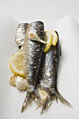 Marinated sardines with garlic and lemon