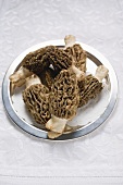 Several morels on silver plate