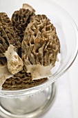 Several morels in glass bowl (close-up)