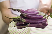 Hands holding fresh aubergines on tea towel