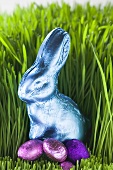 Easter Bunny and chocolate eggs in grass
