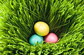 Three Easter eggs in grass