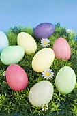 Easter eggs on grass with daisies