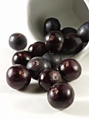 Acai berries (fruit of the acai palm)