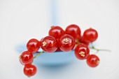 Redcurrants on spoon