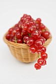 Redcurrants in basket