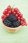 Blackberries and redcurrants in basket