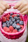 Hands holding basket of blueberries and raspberries