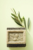Olive soap on pumice stone, olive branch