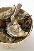 Fresh oysters with seaweed and knife in woodchip basket