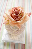 Pink rose in windlight on white towel