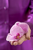 Woman holding orchid flowers