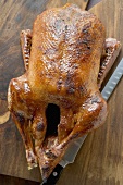 Whole roast duck