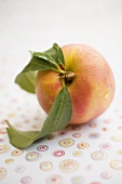 Nectarine with leaves and drops of water