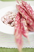 Borlotti beans with pods on plate