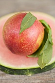 Nectarine with leaves on slice of watermelon