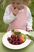 Small girl eating fresh cherries