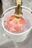 Washing an apple in a bucket under tap