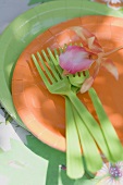 Paper plates and green plastic forks for a summer party