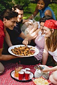 Young people at a 4th of July picnic (USA)