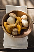 Chanterelles and ceps in wooden bowl