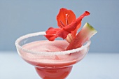 Watermelon drink with red flower in glass with sugared rim