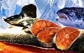 Salmon, sliced, with head