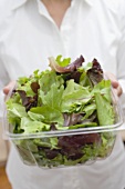 Woman holding plastic container of mixed salad leaves