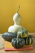 Various pumpkins and squashes on cloth