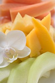 Fresh fruit and orchid (close-up)