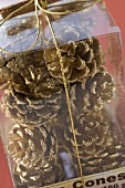 Pine cones in plastic box to give as a gift (close-up)