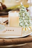 Christmas place-setting with place card